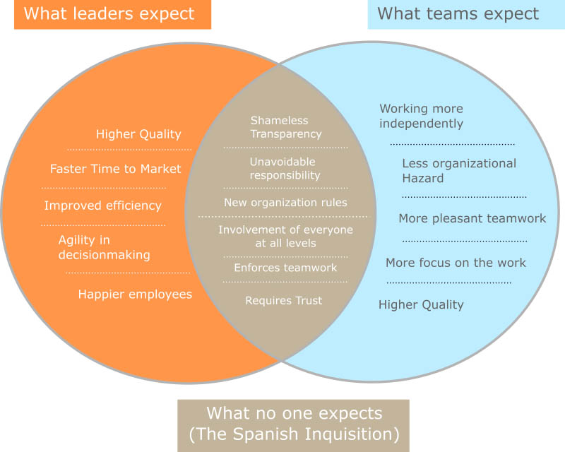 expectations on agile methods and SCRUM, viewed from the view of the employees, as well as from the view of the management